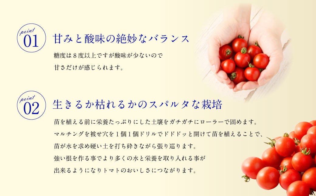 ソムリエミニトマトダイヤ800g