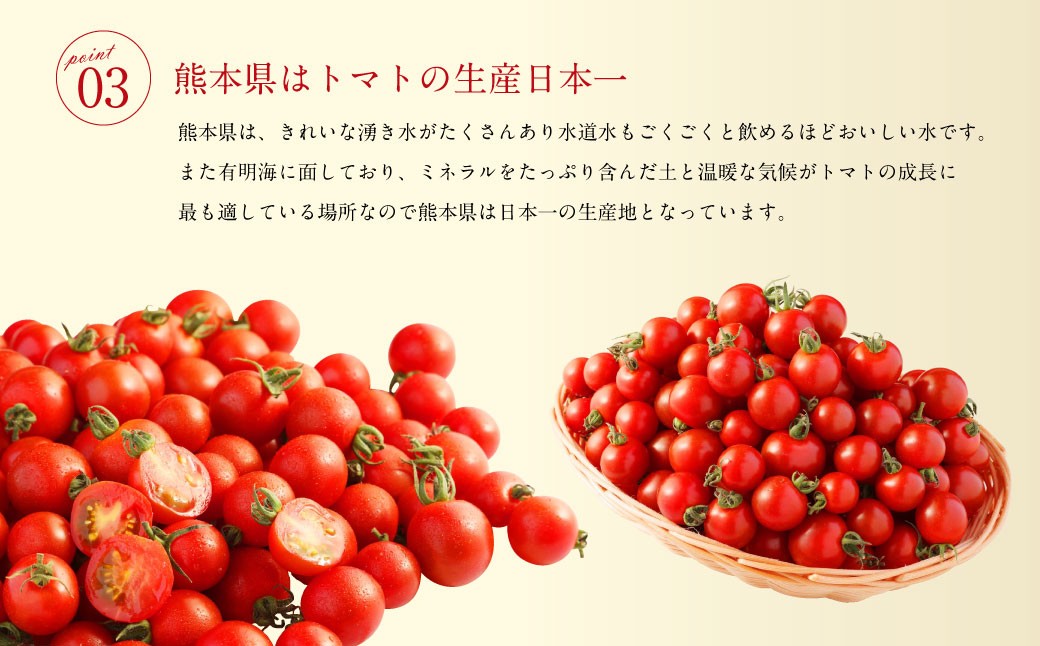 ソムリエミニトマトプラチナ800g