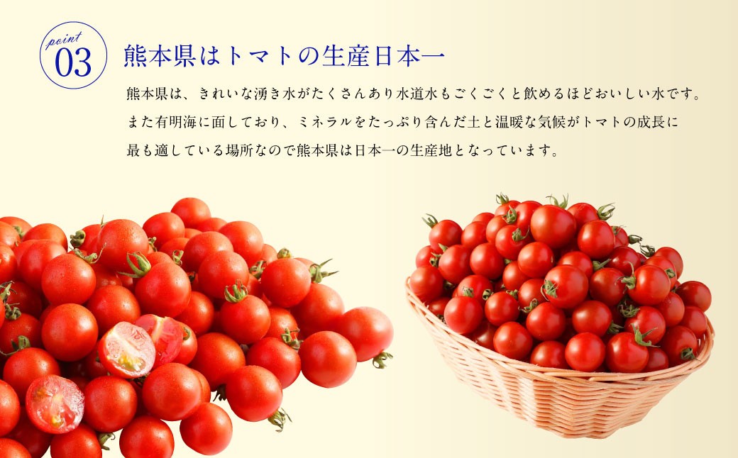 ソムリエミニトマトダイヤ800g
