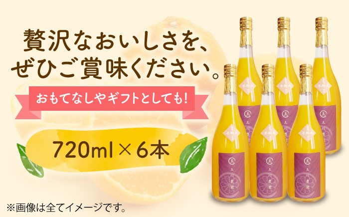 mikan 密柑 みかん みかんジュース ミカンジュース フルーツ デコポン ドリンク 飲み物 果物ジュース