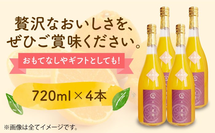 mikan 密柑 みかん みかんジュース ミカンジュース フルーツ デコポン ドリンク 飲み物 果物ジュース