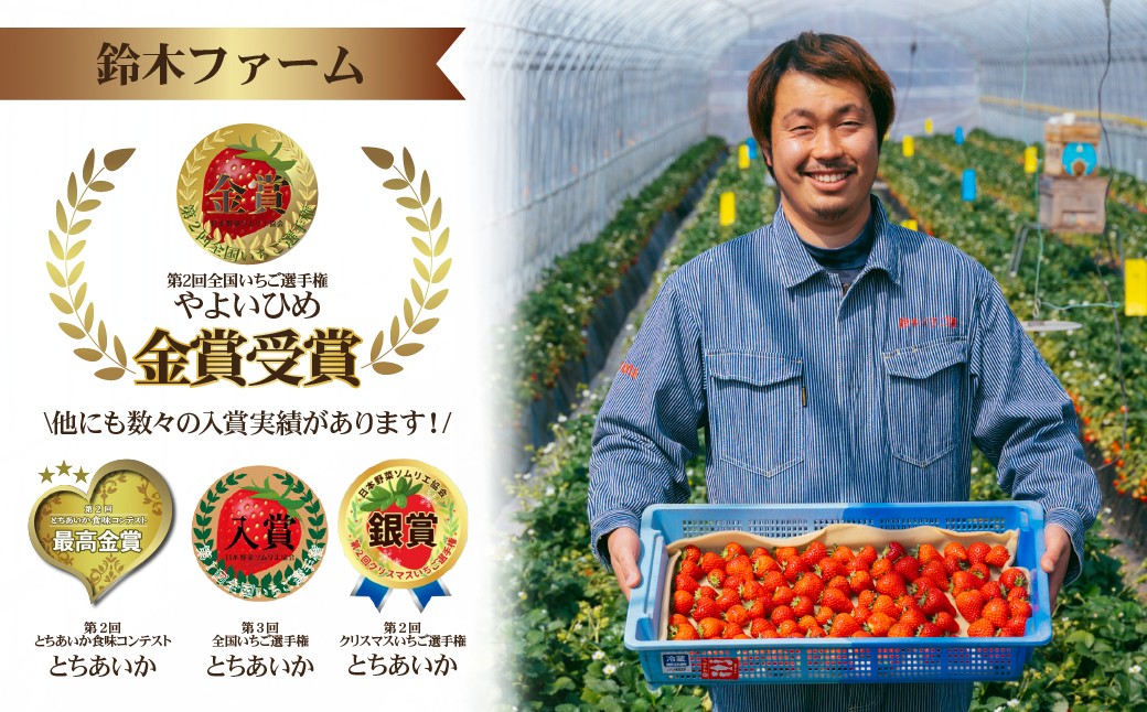 いちご イチゴ 苺 とちあいか 完熟 ジャム スムージー スイーツ デザート アイス シャーベット