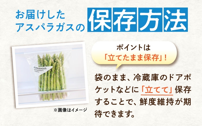 食べ比べ アスパラ 旬 野菜 グリーンアスパラ とれたて アスパラガス 朝採り 直送便 定期便 春野菜 夏野菜