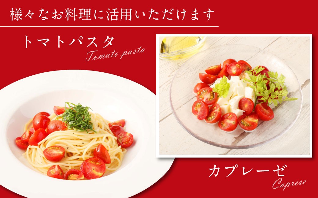 ソムリエミニトマトプラチナ800g
