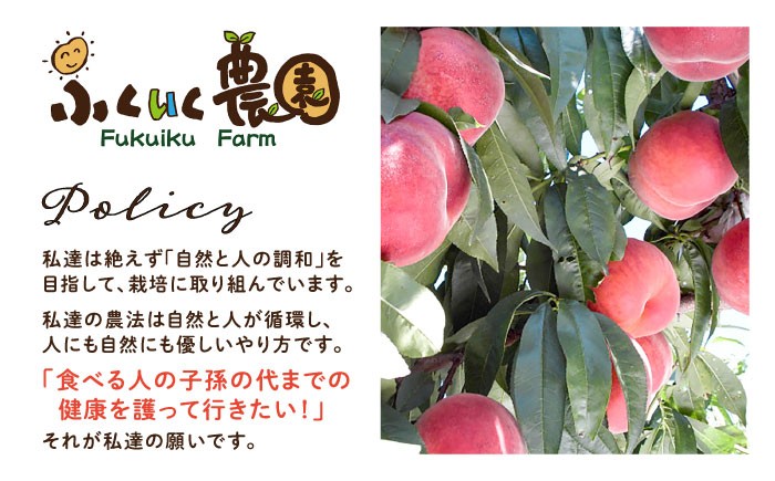 モモ 飲料 飲み物 ももドリンク 桃ジュース ももジュース フルーツジュース 贈答 ギフト おすすめ 人気 岐阜県 恵那市