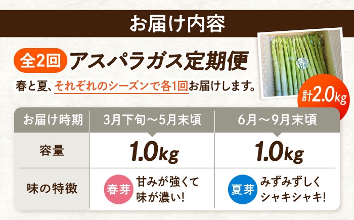 食べ比べ アスパラ 旬 野菜 グリーンアスパラ とれたて アスパラガス 朝採り 直送便 定期便 春野菜 夏野菜