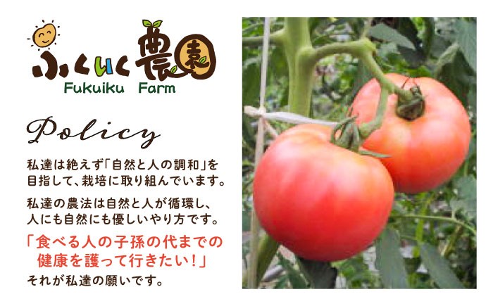 飲料 野菜ジュース トマトジュース セット 飲み物 リコピン 健康 美容 贈答 ギフト おすすめ 人気 岐阜県 恵那市