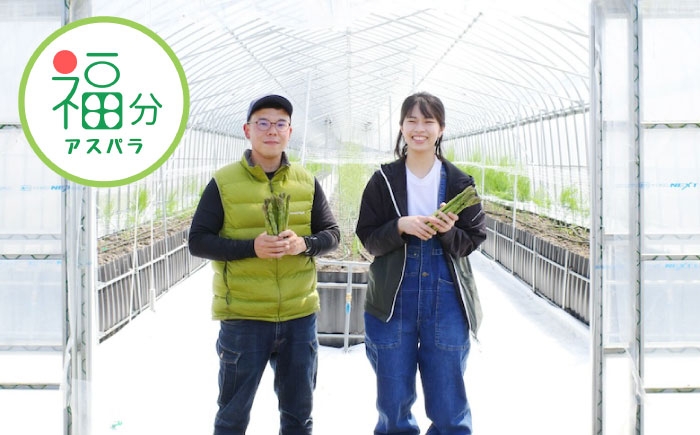 食べ比べ アスパラ 旬 野菜 グリーンアスパラ とれたて アスパラガス 朝採り 直送便 定期便 春野菜 夏野菜