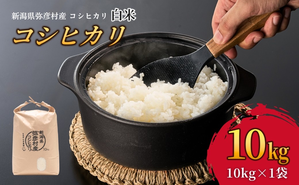 新潟県弥彦村石井農園 コシヒカリ＜白米 10kg＞ 