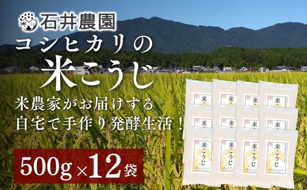 ＜乾燥米こうじ 500g×12袋＞新潟県弥彦村 石井農園 新潟県認証特別栽培米 コシヒカリ使用 