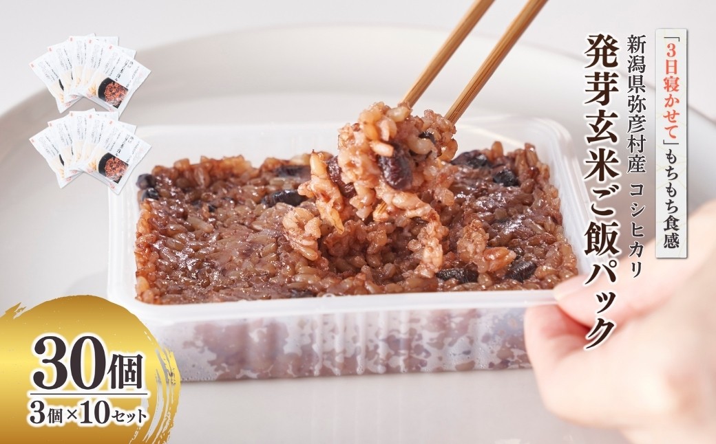 酵素玄米 パックご飯 30個 (3パック×10セット)