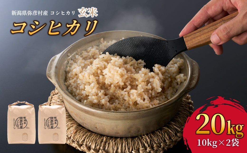 玄米 20kg 新潟 コシヒカリ