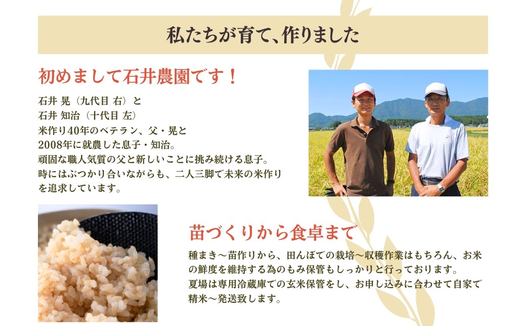 新県弥彦村石井農園 コシヒカリ白米・玄米 食べ比べセット＜白米5kg、玄米5kg＞