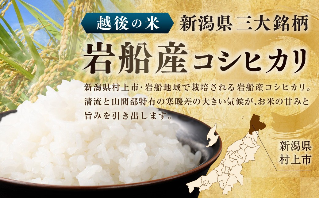 【令和7年産米】新潟県村上市岩船産 コシヒカリ5kg