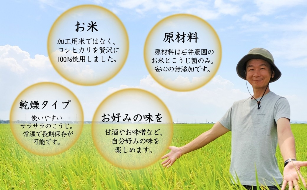 ＜乾燥米こうじ 500g×12袋＞新潟県弥彦村 石井農園 新潟県認証特別栽培米 コシヒカリ使用 