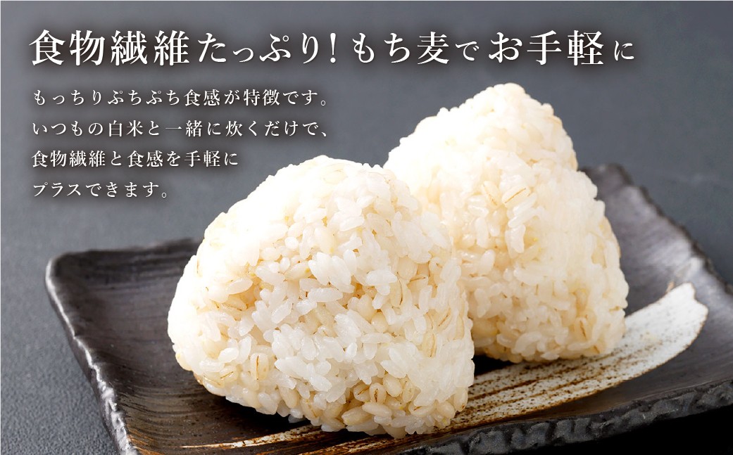 国産もち麦 800g×6袋