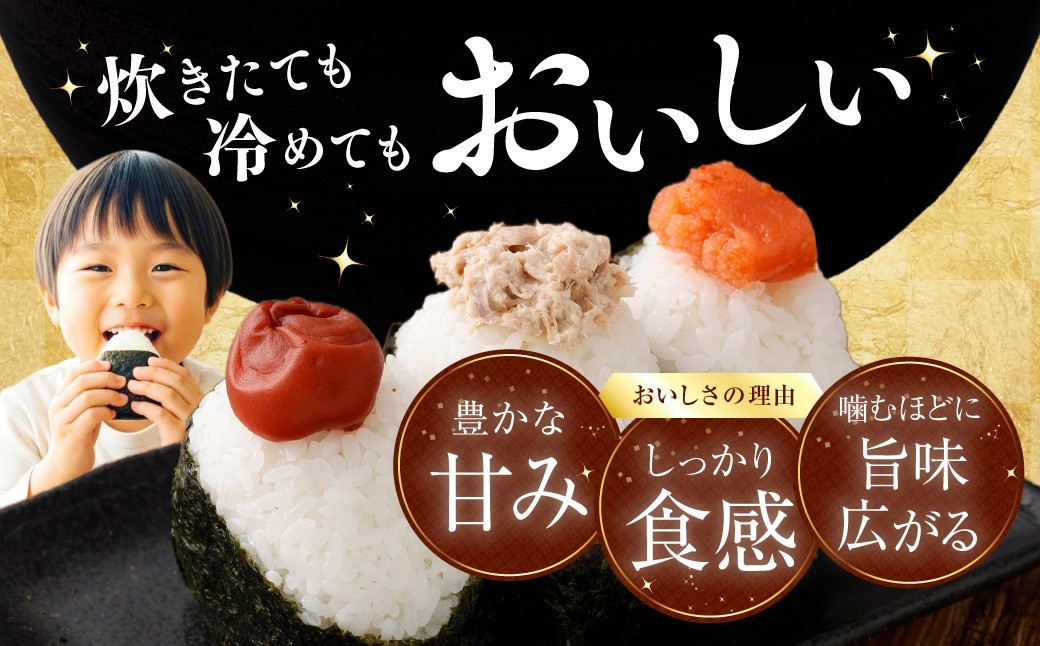 【令和7年産米】新潟県村上市岩船産 コシヒカリ10kg