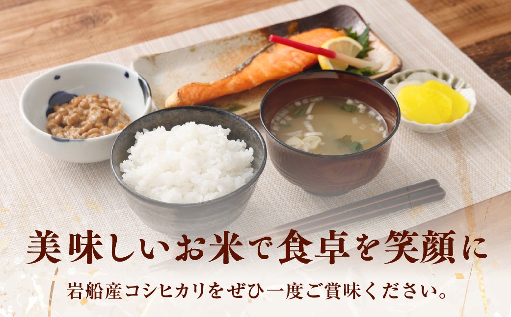【令和7年産米】新潟県村上市岩船産 コシヒカリ10kg