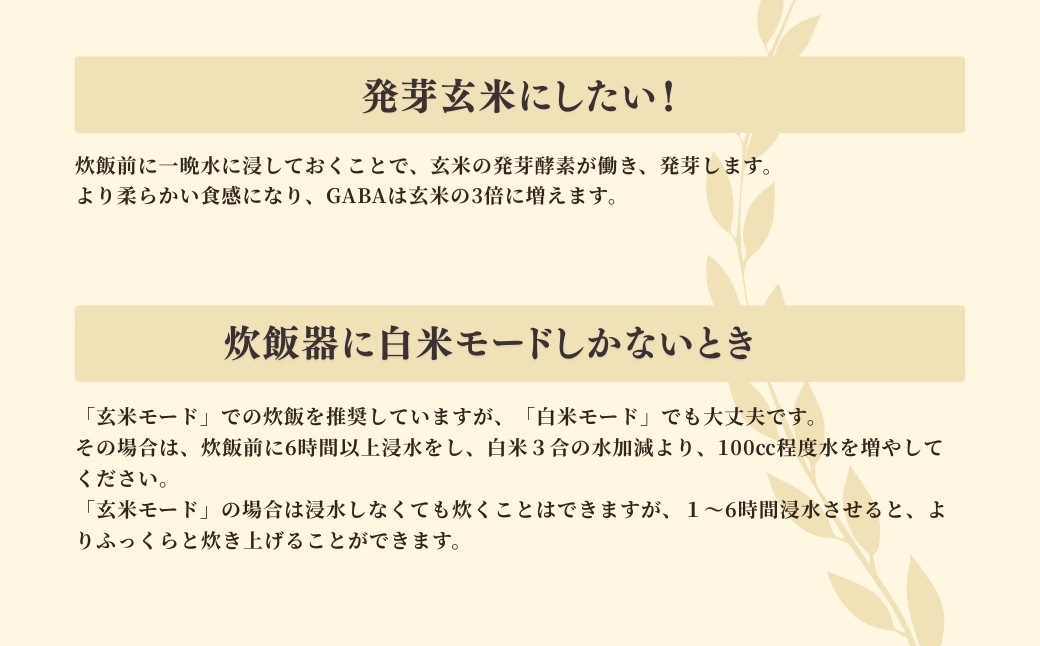 お家で簡単!＜ 熟成玄米ご飯(酵素玄米) ＞手作りセット