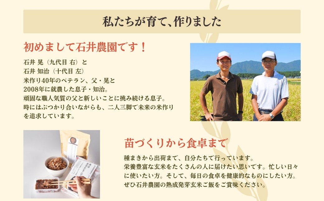 酵素玄米 パックご飯 30個 (3パック×10セット)