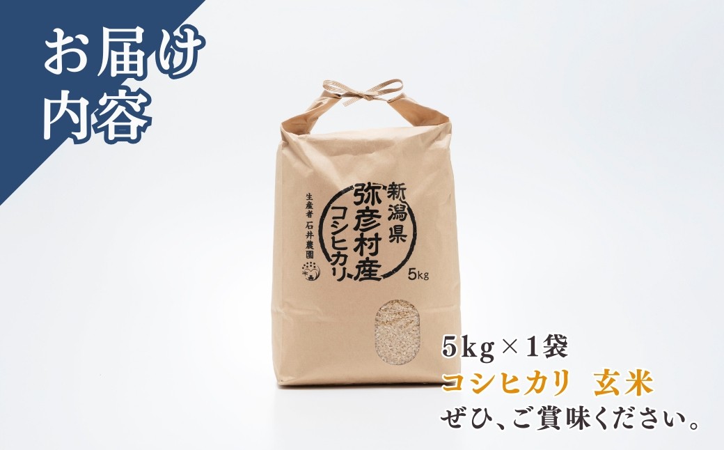 令和7年産 新潟県産 コシヒカリ 玄米 5kg