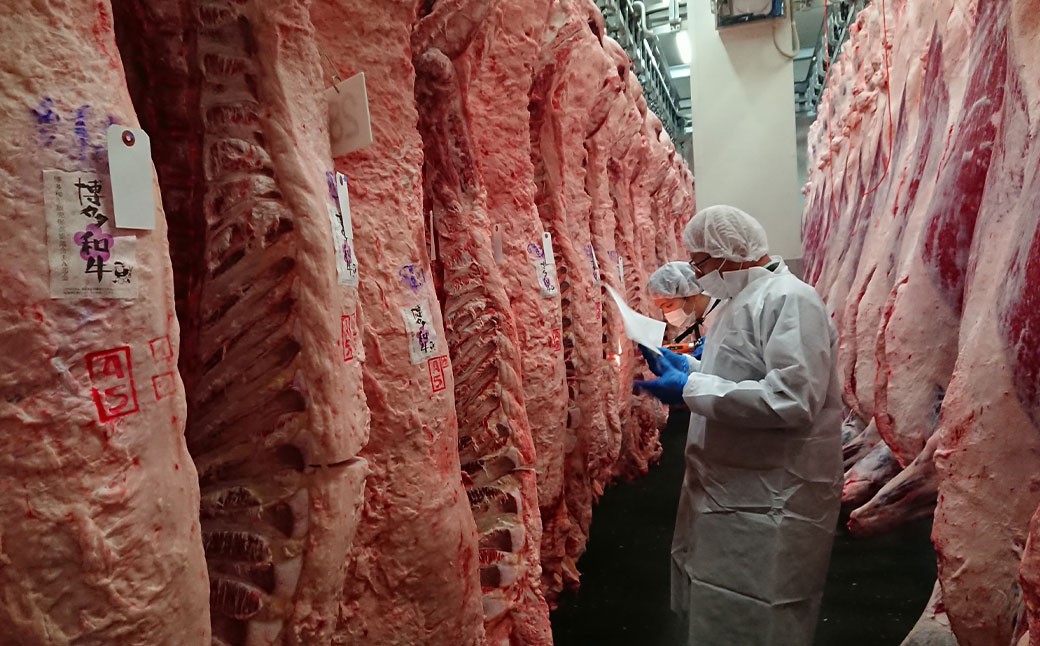 【隔月6回定期便】博多和牛100％ 贅沢本格手ごねハンバーグ 約150g×10個 合計1.5kg 定期 合計60個