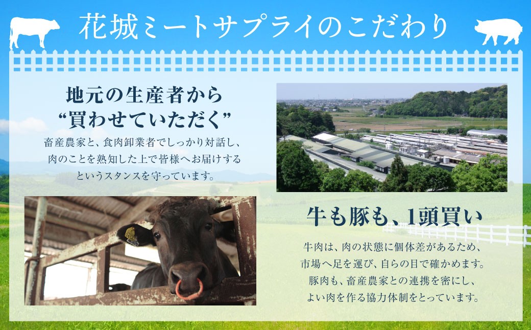 静岡県産 牛ロースステーキ 約250g×2枚（計約500g）