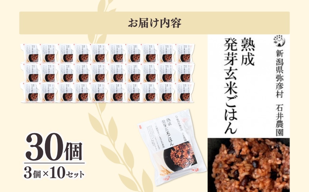 酵素玄米 パックご飯 30個 (3パック×10セット)