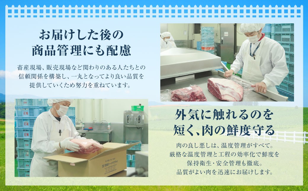 静岡県産 豚切り落とし 約2kg
