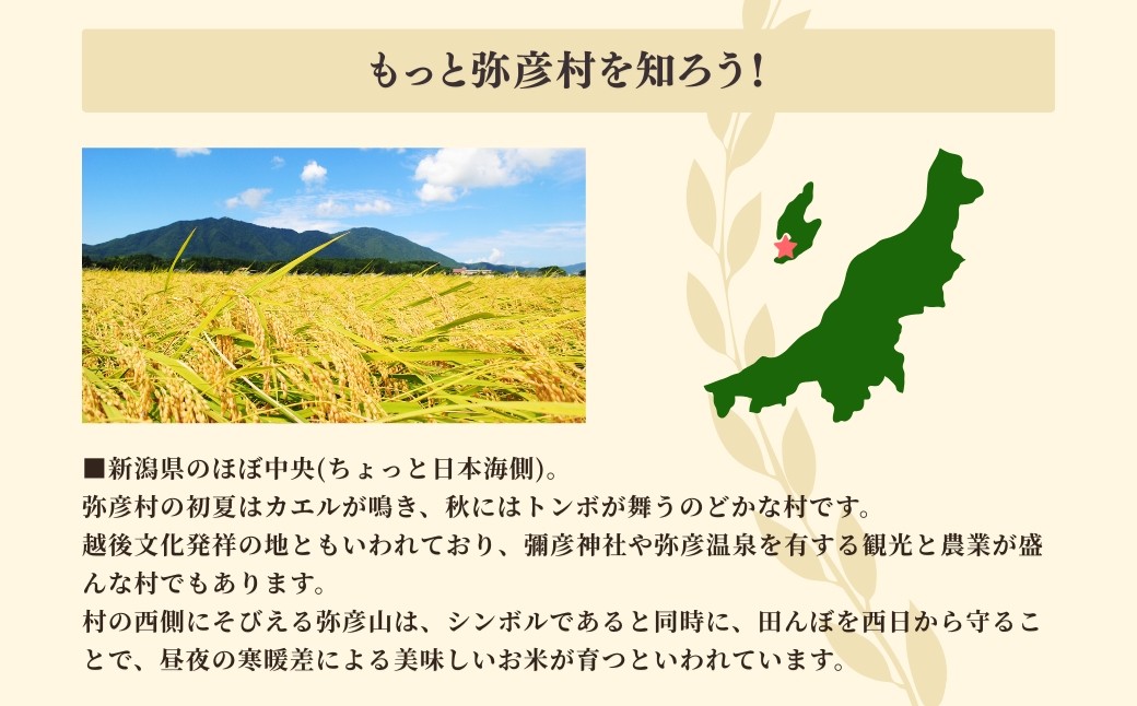 お家で簡単!＜ 熟成玄米ご飯(酵素玄米) ＞手作りセット 3合パック×6個 新潟県弥彦村産コシヒカリ