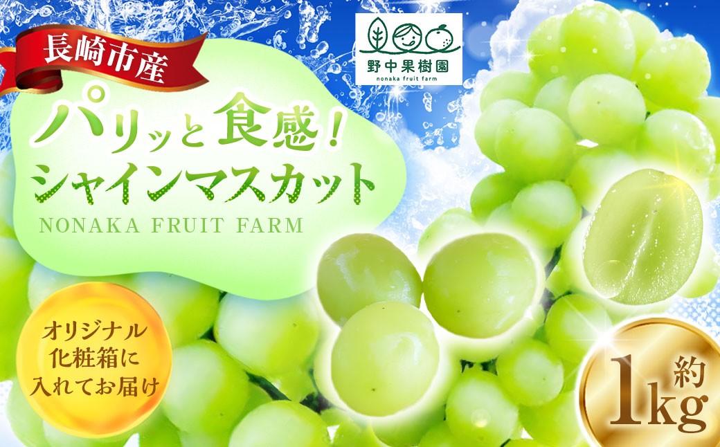 シャインマスカット約1kg（2～3房）