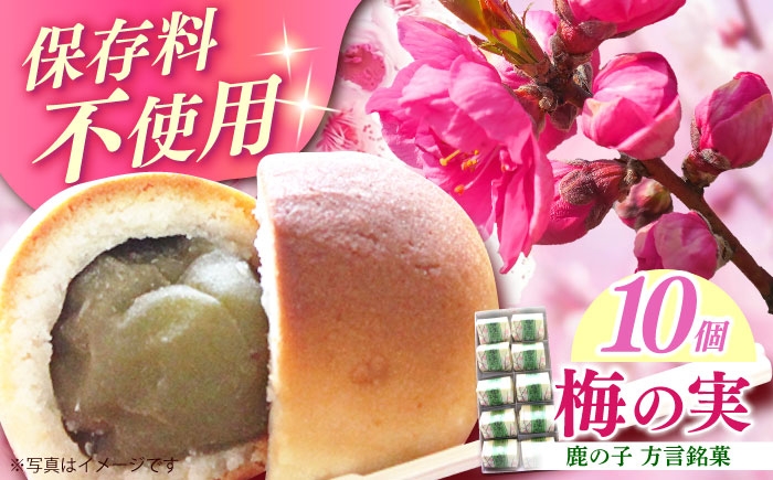 国産梅をまるごと1個使用した和菓子