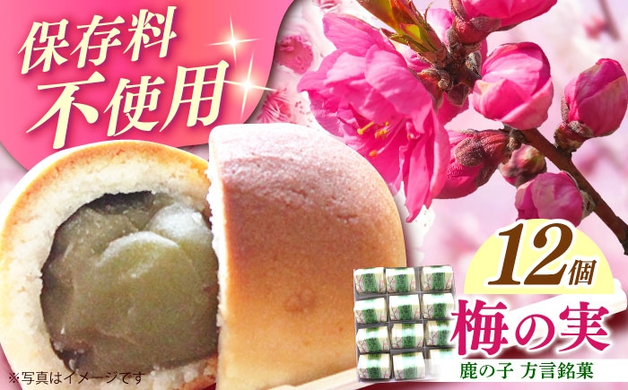 国産梅をまるごと1個使用した和菓子