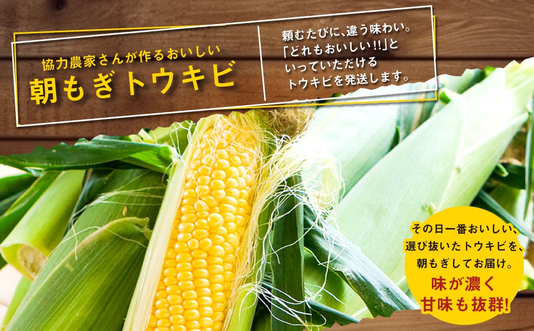 きたいろトマト （2.1kg）と 朝もぎトウキビ （21本）のセット