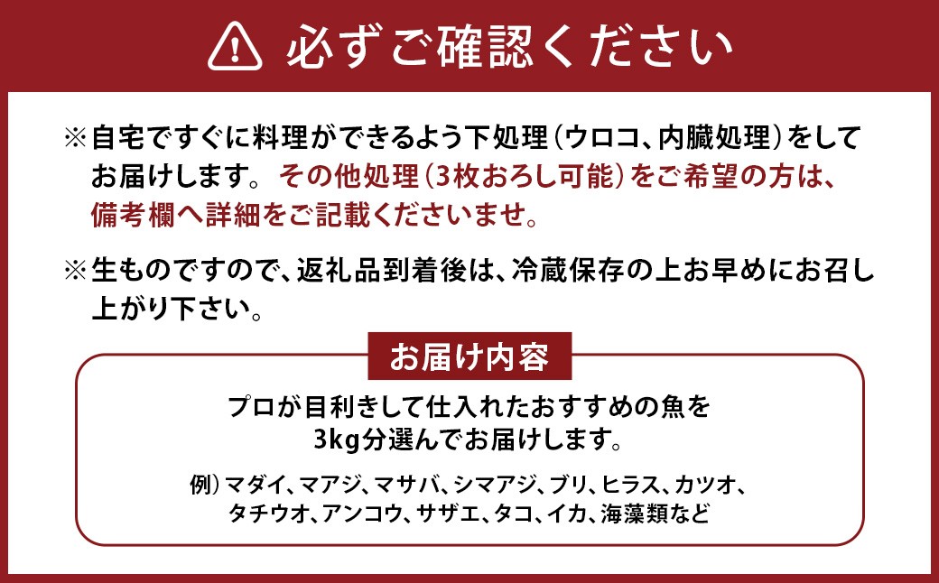 長崎産 地元の鮮魚店 おすすめ 鮮魚 BOX 3kg 魚 お魚 海鮮 魚介 新鮮 カト健 長崎