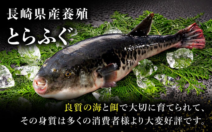 ふぐ フグ ふぐ フグ フグ 河豚 トラフグ とらふぐ ふぐ刺し ふぐ刺しセット セット 年末