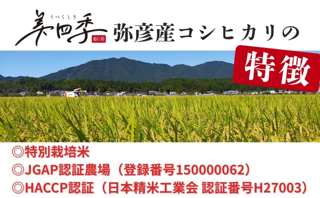 新潟県弥彦産コシヒカリ 美四季 4kg (2kg×2袋)