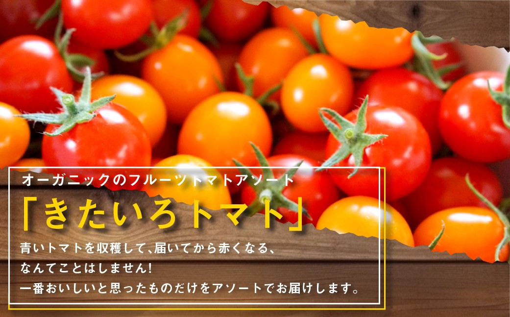 きたいろトマト （2.1kg）と 朝もぎトウキビ （21本）のセット