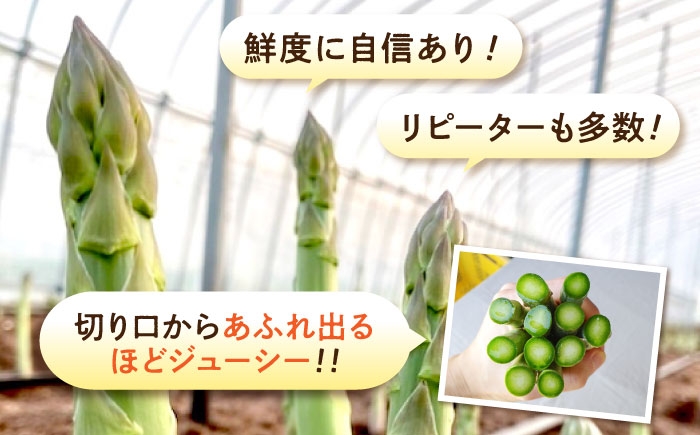アスパラ 旬 野菜 グリーンアスパラ とれたて アスパラガス 朝採り 夏野菜