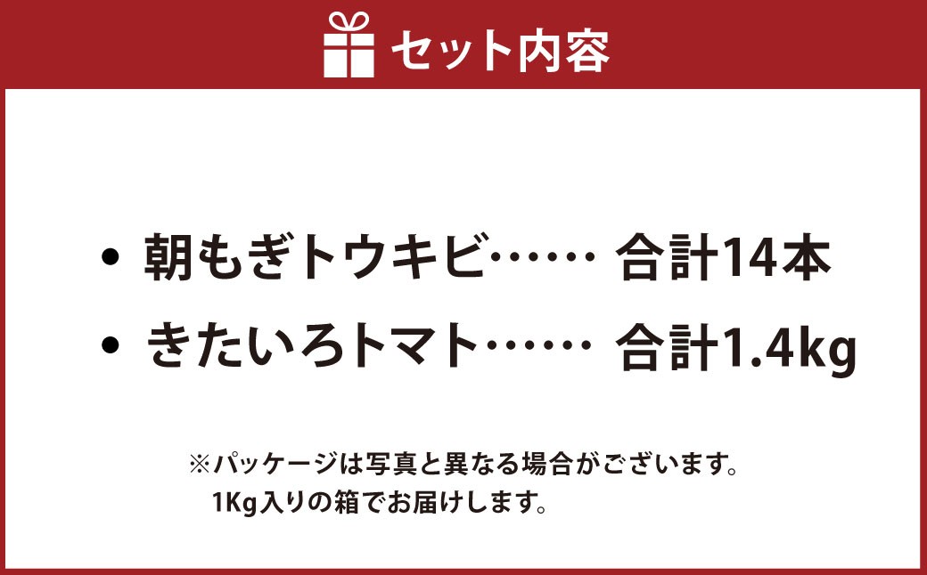 きたいろトマト （1.4kg）と 朝もぎトウキビ （14本）のセット
