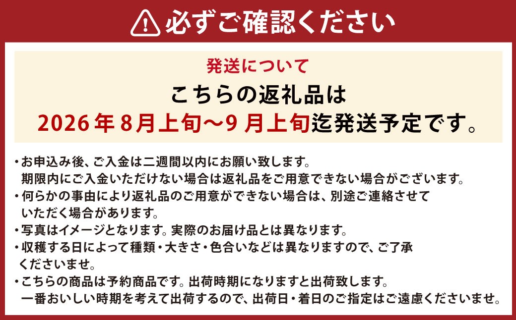 きたいろトマトと朝もぎトウキビのセット