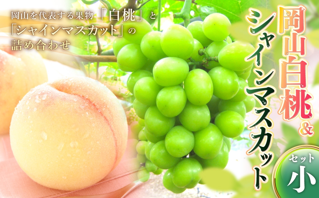 岡山白桃&シャインマスカットセット小