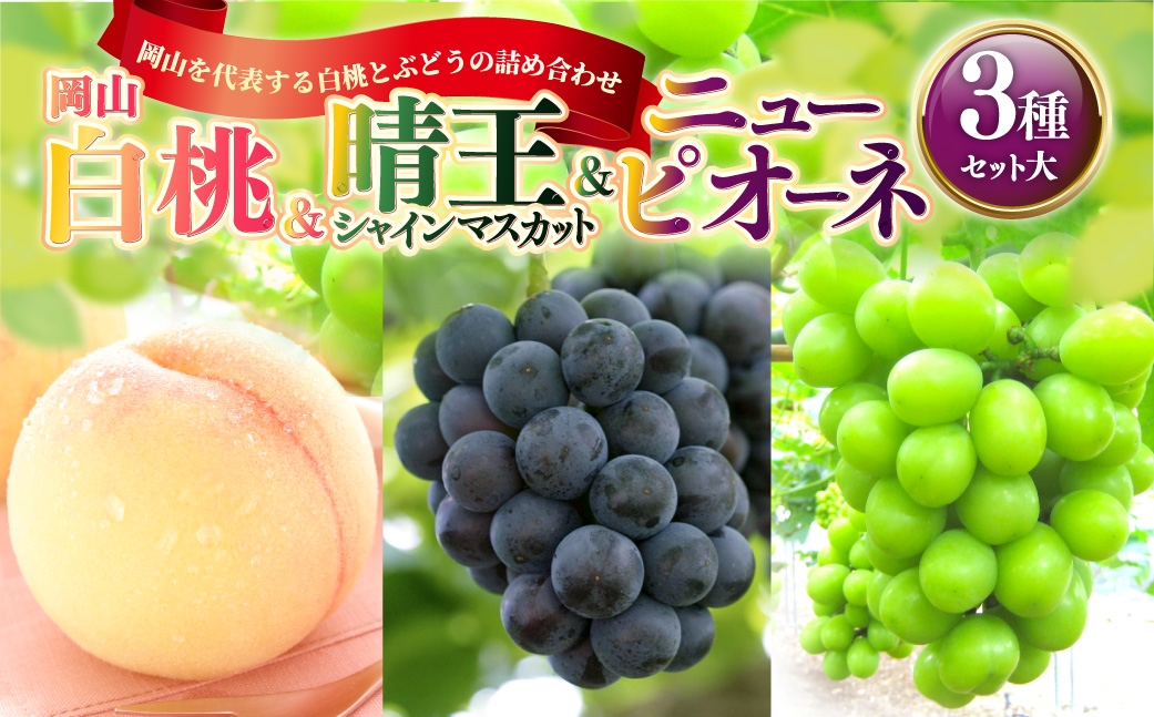 岡山白桃＆晴王シャインマスカット＆ニューピオーネセット大