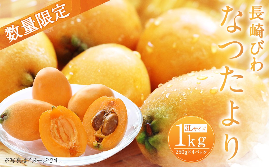 長崎びわ なつたより 約1kg 約250g×4パック 3Lサイズ
