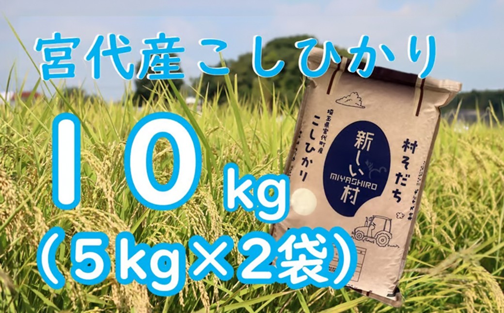 米 白米 はくまい こめ コシヒカリ 新米 国産 美味しい 品質 低農薬 化学肥料 農薬 安心 安全 甘い 甘み 旨み うまみ