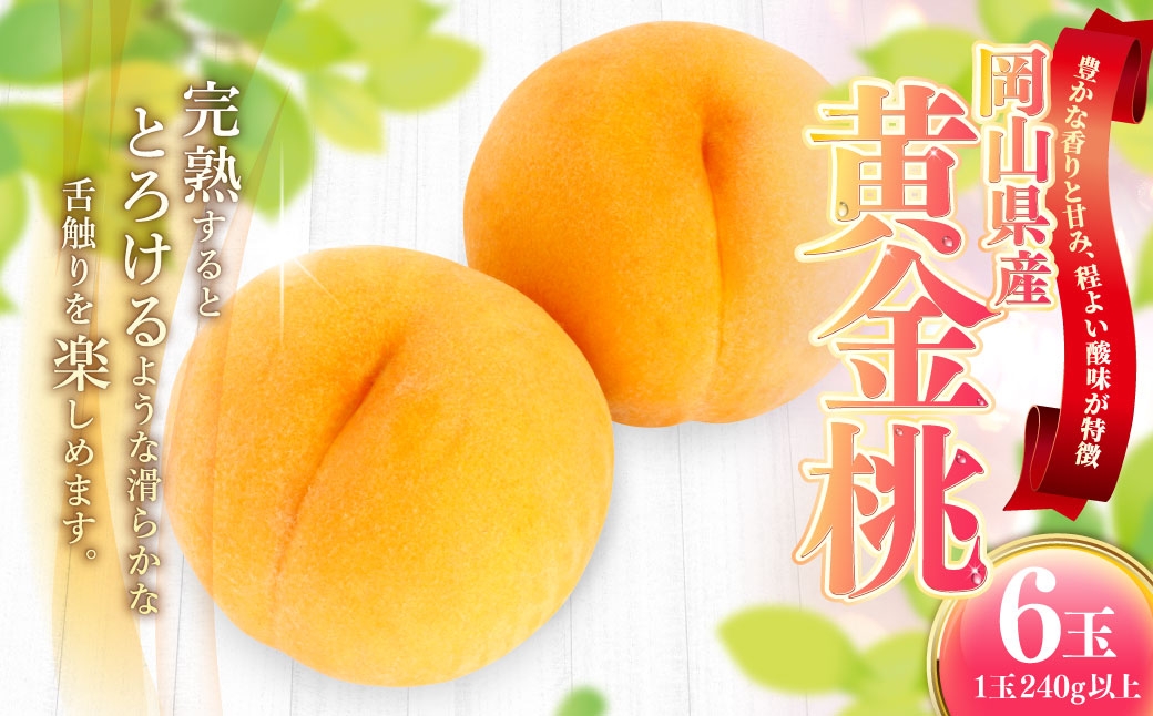 岡山県産黄金桃6玉（1玉240g以上）