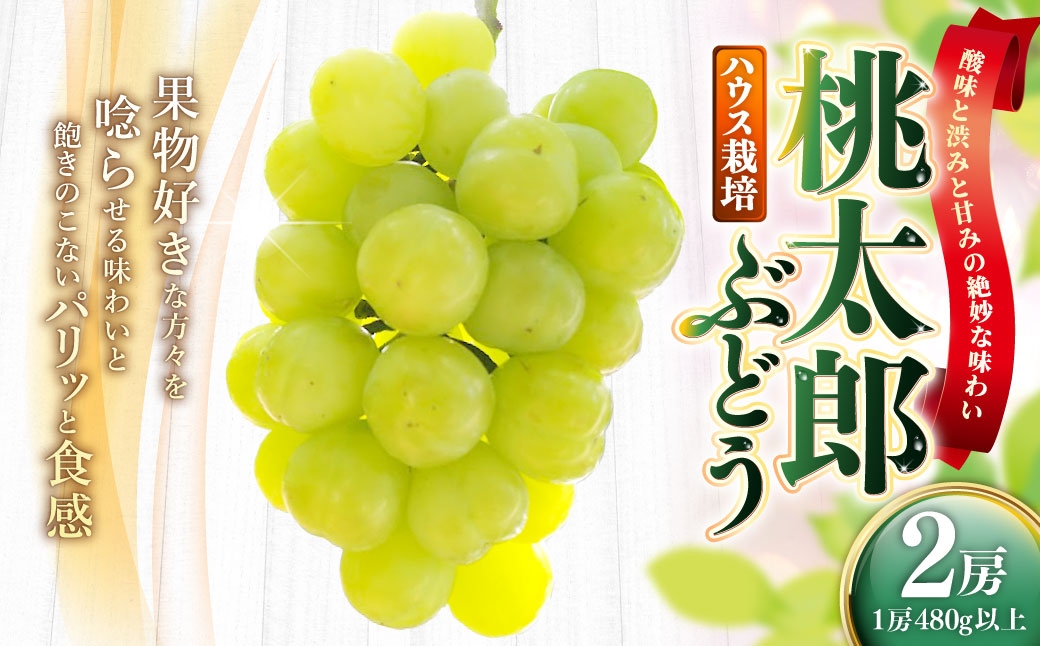 岡山県産桃太郎ぶどう2房（1房480g以上）ハウス栽培