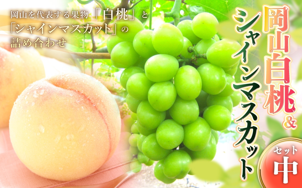 岡山白桃&シャインマスカットセット中