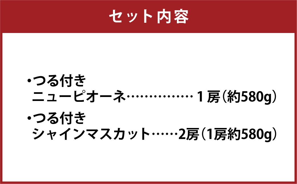 つる付き！ニューピオーネ＆晴王シャインマスカットCセット