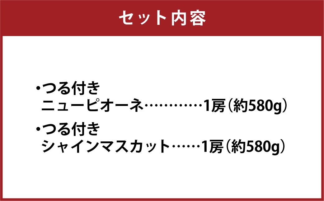 ニューピオーネ＆晴王シャインマスカットAセット